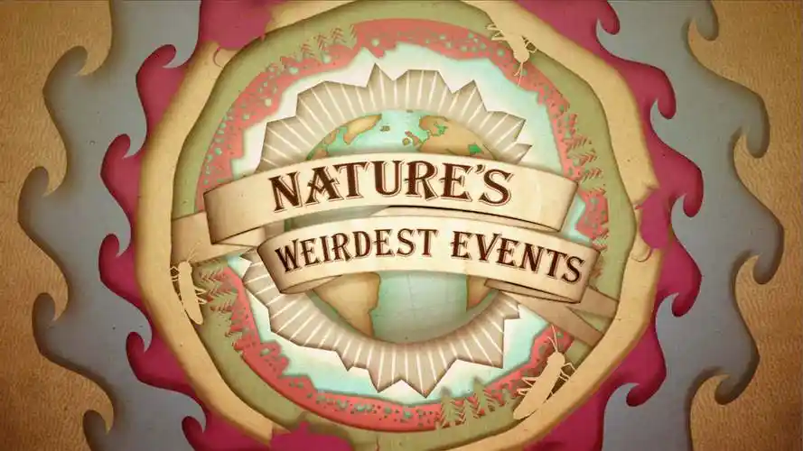 some bespoke info-graphics to go with the branded deliverables