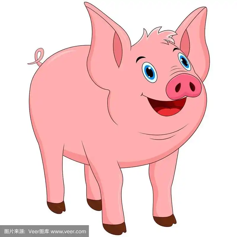 矢量插图的可爱猪卡通