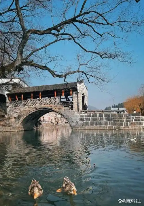 这是位于湖北省咸宁市桂花镇的刘家桥村,村里的居民绝大部分都姓刘.