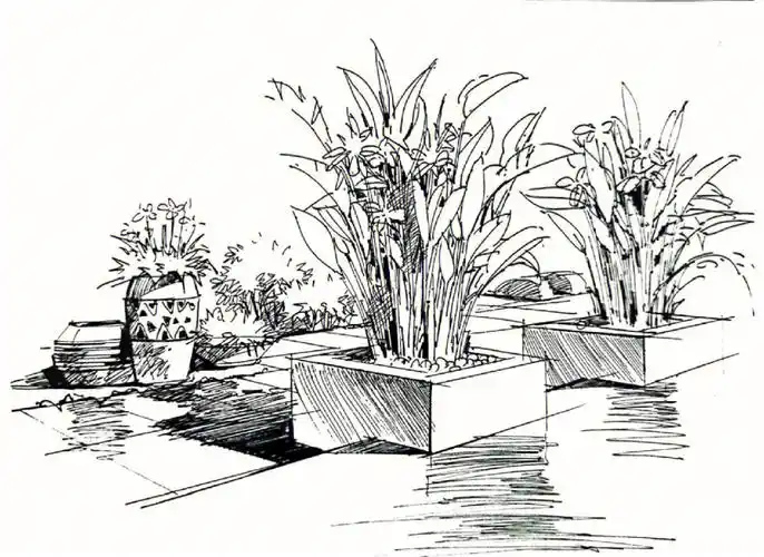 植物的组合表现