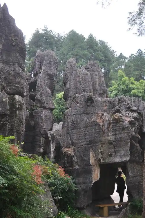 2020重庆龙鳞石海