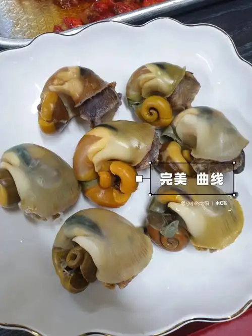 在这个季节实现了捞汁大海螺自由