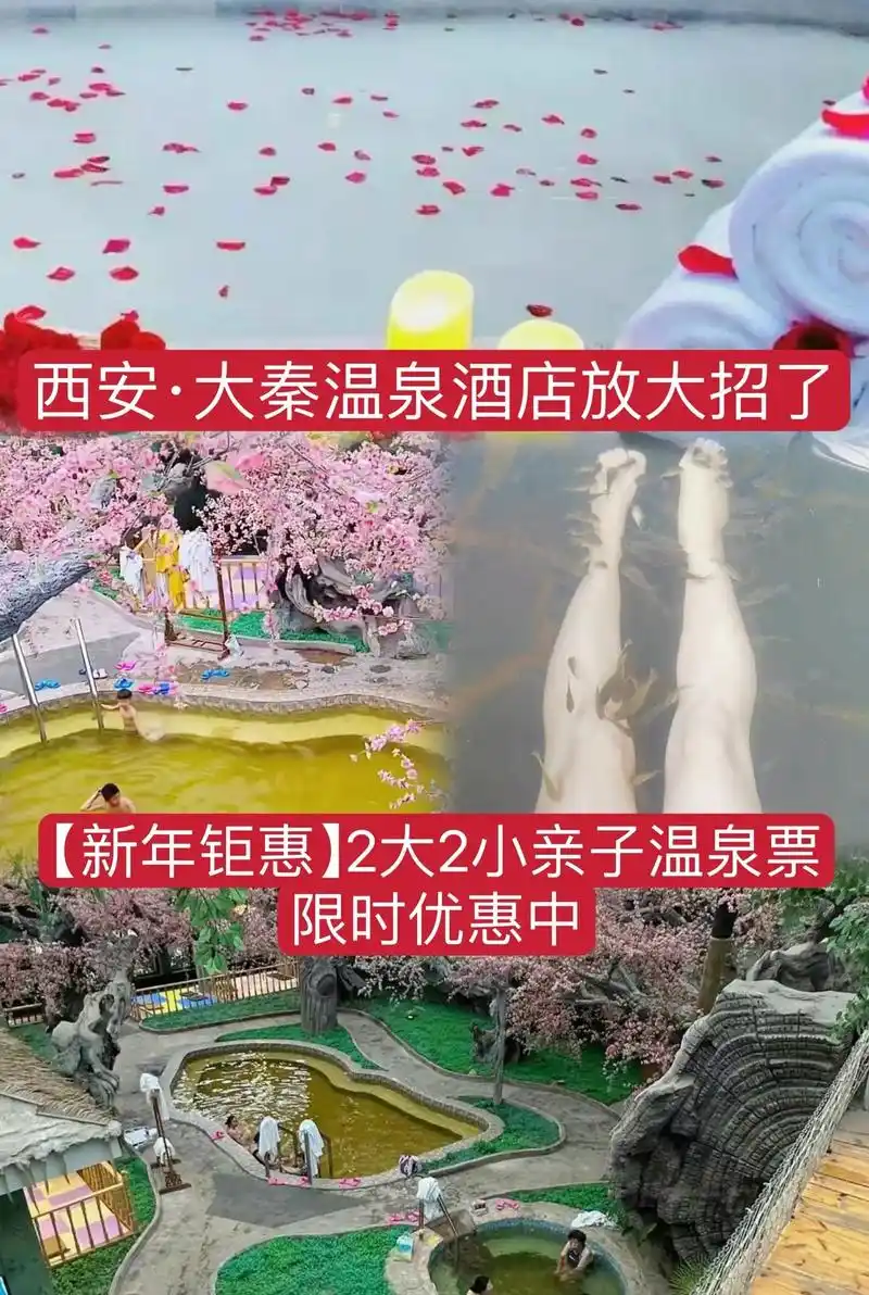 西安·大秦温泉酒店放大招了(天台路店)【新年钜惠】2大2小亲 - 抖音