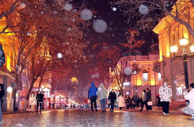 7日晚,哈尔滨市开始下雪,整座城市披上了一层银装.