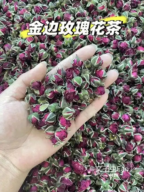 美容通经调经止痛泡一杯金边玫瑰花茶