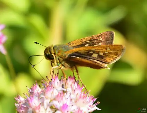 快乐摄影 1031副本.jpg