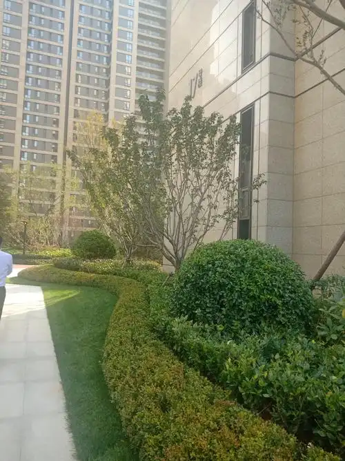 上海 苏州园林景观考察 微地形 园林绿化