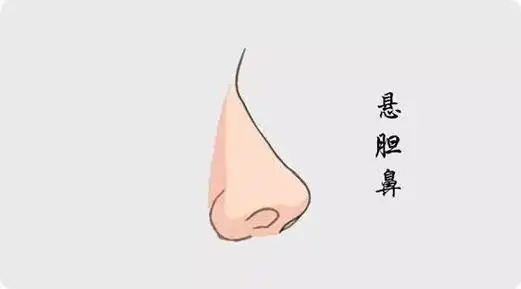 难怪"悬胆鼻"被视为鼻中之王,看起来就是富贵相,老了更有气质