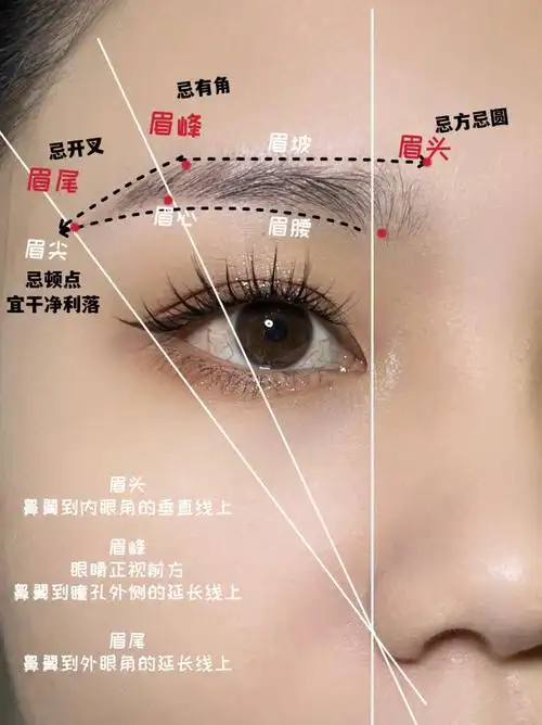 好的眉毛是我们颜值的加分项对啦～发现很多新手宝宝画眉毛的时候都是