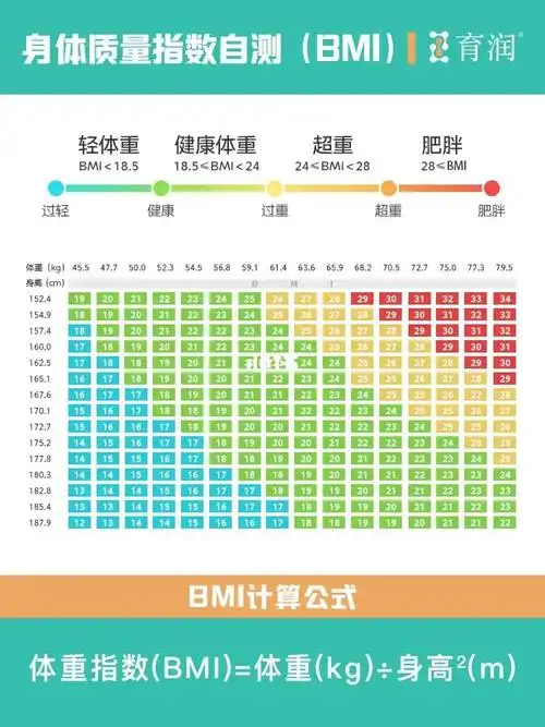 1分钟自测bmi02超过24糖尿病风险加重60
