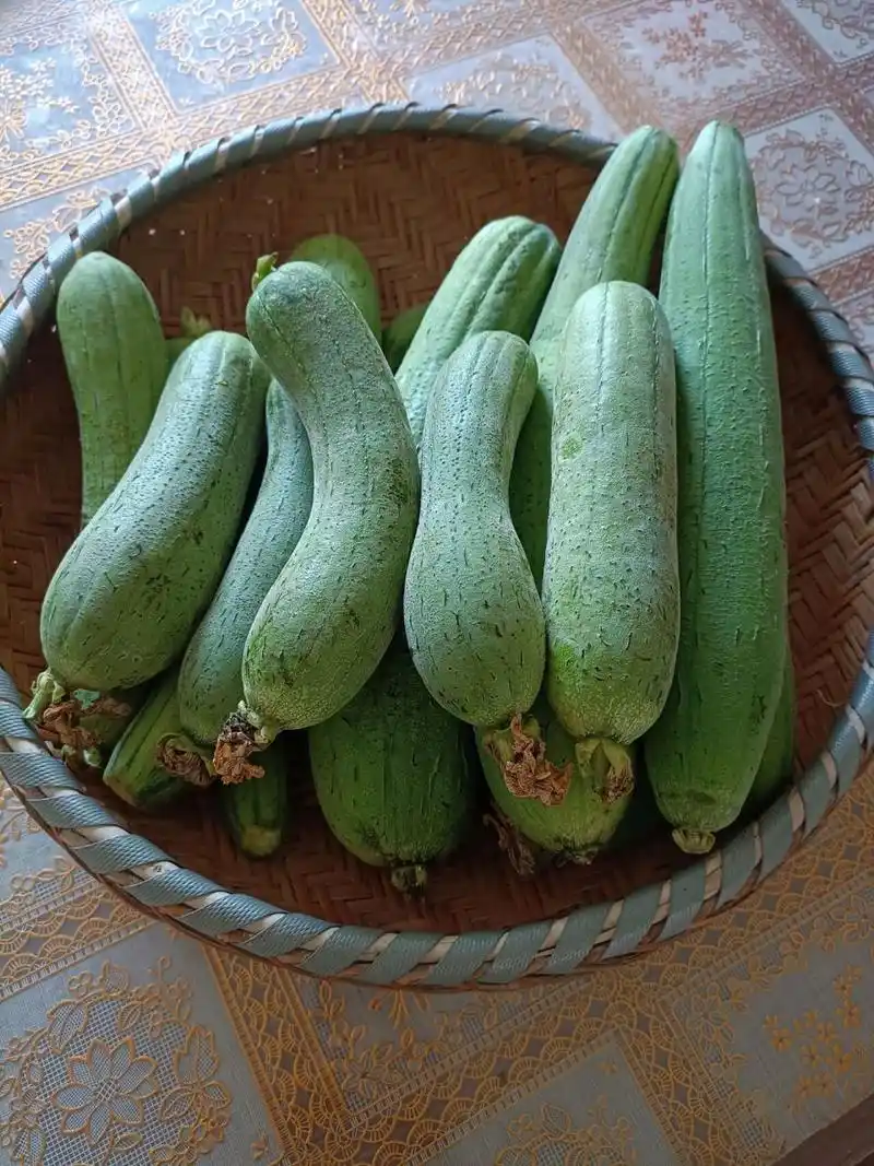 炸丝瓜,真好吃!