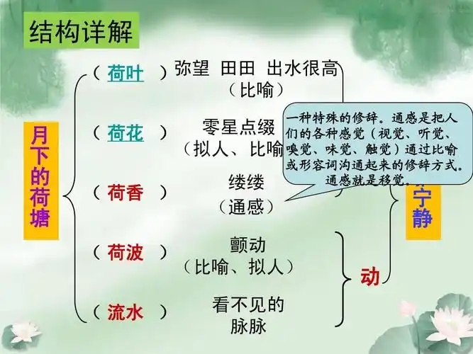 《荷塘月色》(第二课时)ppt