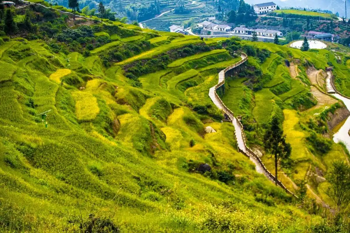 规划: 从市内出发开车导航"溆浦山背花瑶梯田景区"3小时左右即可到达