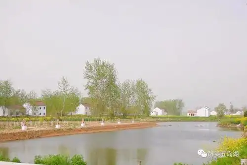 南集镇皂角村:开展人居环境整治,打造美丽示范乡村