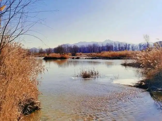 河北涿鹿:桑干河冬景如画|展华|涿鹿县|河北省|阳原县|张家口市_网易