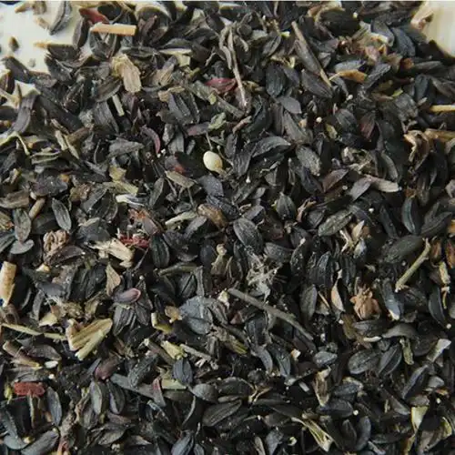 厂家批发苦荬菜新种子 多年生牧草草籽 家禽饲养苦麻菜苦麦菜种子