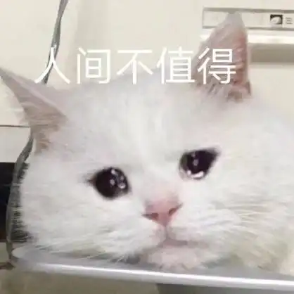 暴漫熊猫头人间不值得想哭搞怪逗gif动图_动态图_表情包下载_soogif