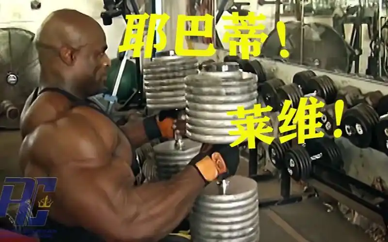 罗尼库尔曼今日份祖师爷的精神氮泵莱维贝贝