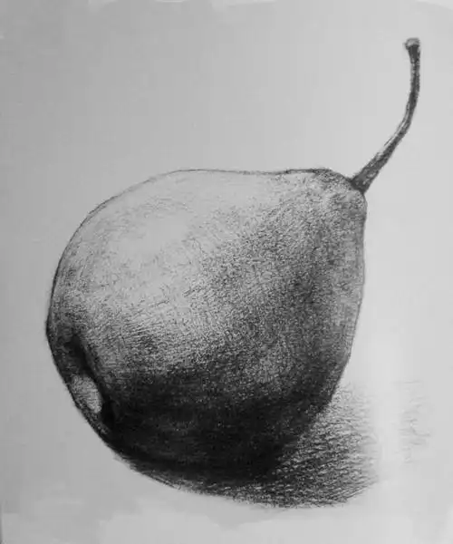 艺术园地no6一个素描梨子