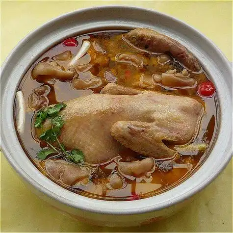 好吃的药材炖老鸭汤