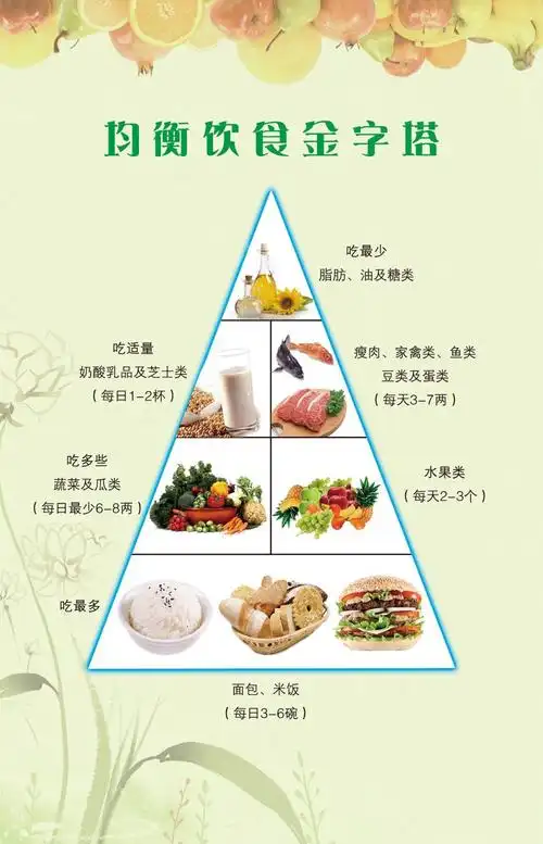 饮食金字塔psd下载
