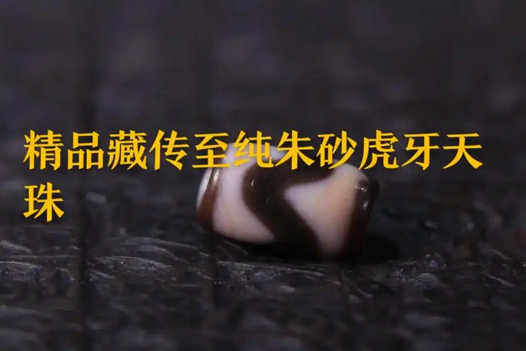 精品藏传至纯朱砂虎牙天珠