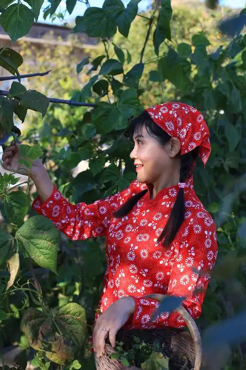 辛勤美丽的陕北婆姨