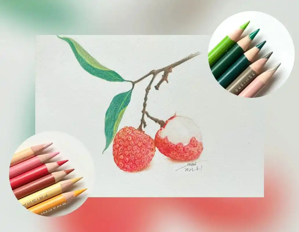 彩铅水果③荔枝.#彩铅画画入门教程 #一学就会系列 #素描彩 - 抖音