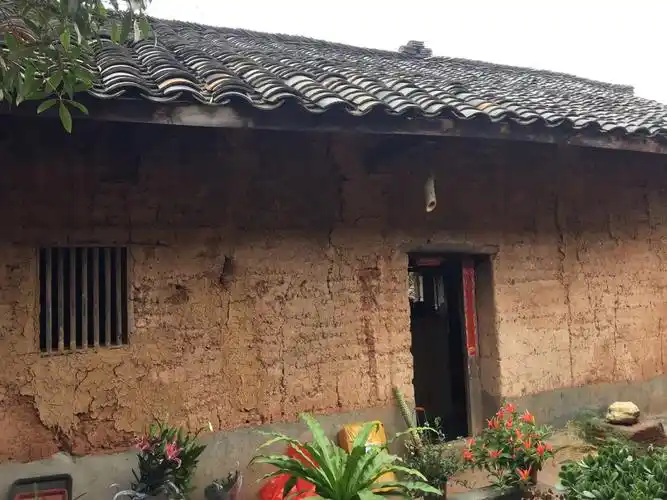 老梨树,老房子(200多年历史的土坯瓦房)和不老的我.