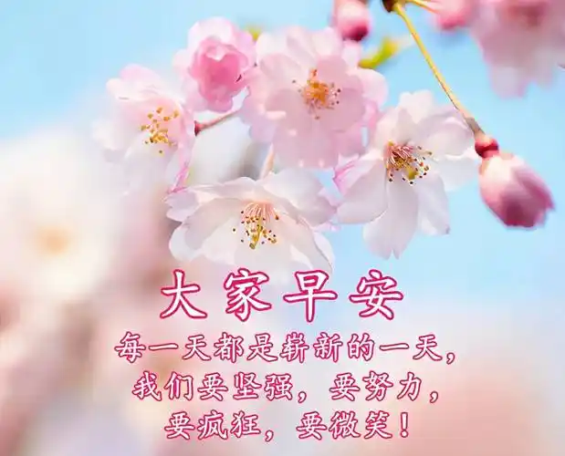原创2021年早上好问候语温馨图片动态表情清晨祝福语大全带字图片