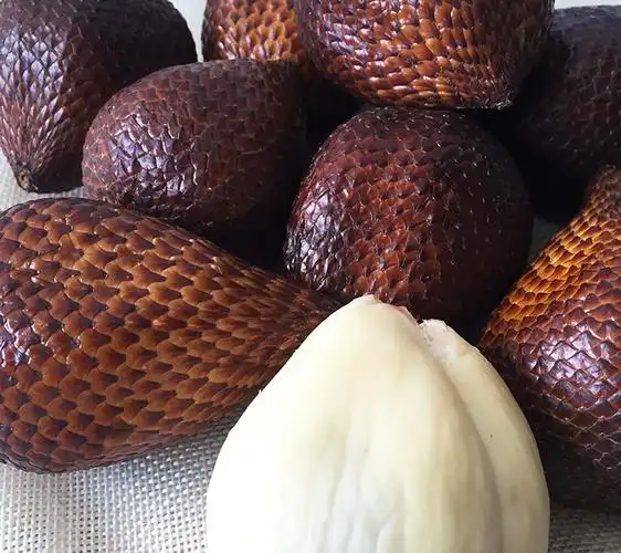 xj进口蛇皮果约1kg装新鲜水果可开发票