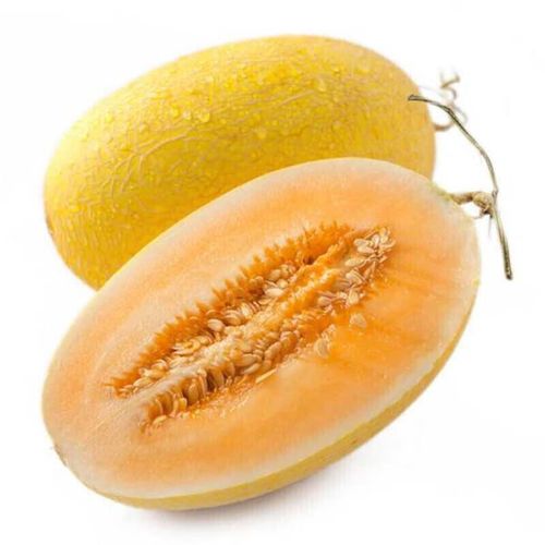 龙觇吐鲁番新鲜黄皮哈密瓜脆甜多汁1/2个装 1个装