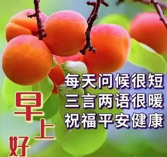 最新创意好看的早上好祝福图片,温馨唯美早安问候文字精选!