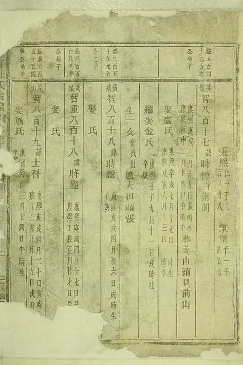 家谱杜衍族谱梅溪唐氏族谱蒋氏宗谱蒋氏家乘蒋氏家谱蒋氏族谱魏桓子