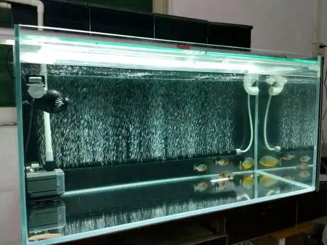 养鱼须好水,百来块改造上滤实现空气缸