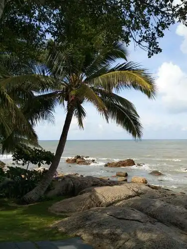 三亚风景迷人,同学友情更感人,三亚五日游留下了许多美好的回忆.初