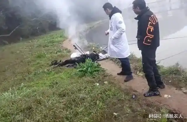 不是触电,不是自f,或因这种物质所致|奥运|钓鱼|帐篷|垂钓者_网易订阅