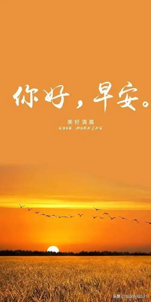 早安语录适合发朋友圈早安的句子,早安暖心话短句(7月4日新的一周早安