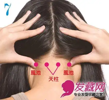 脱发怎么办 图解防秃头按摩技巧(7)