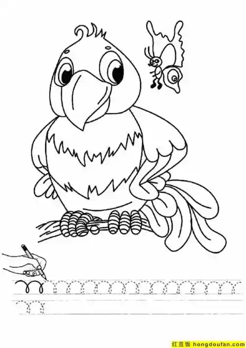 蜜蜂动物趣味幼儿形状追踪练习题免费下载-红豆饭小学生简笔画大全