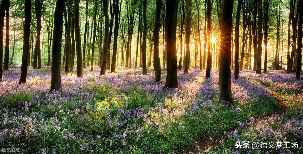 形容早晨美好的句子,关于清晨的唯美短句78条