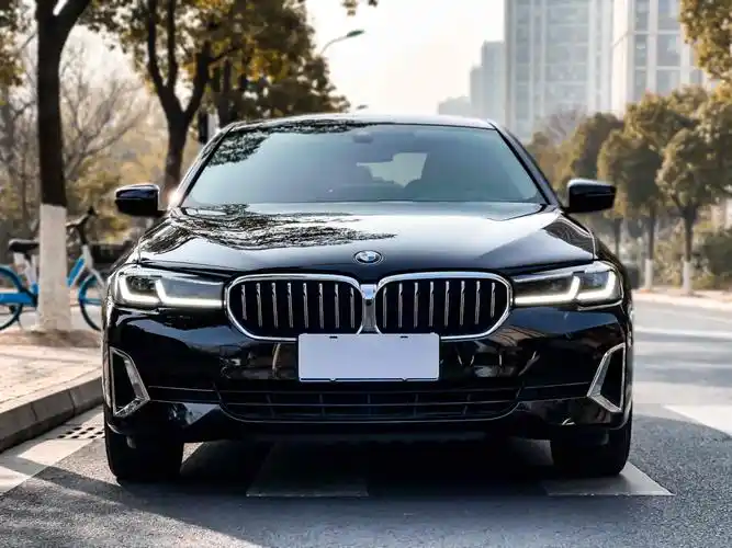 宝马 宝马5系  2021款 改款 530li 尊享型 豪华套装图片
