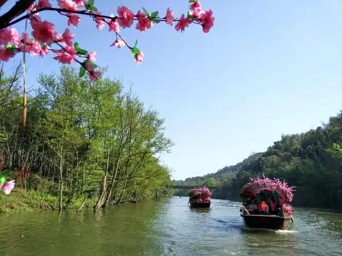 误入桃花源|穿越秦溪,等你在桃花渡口(精彩抖音)
