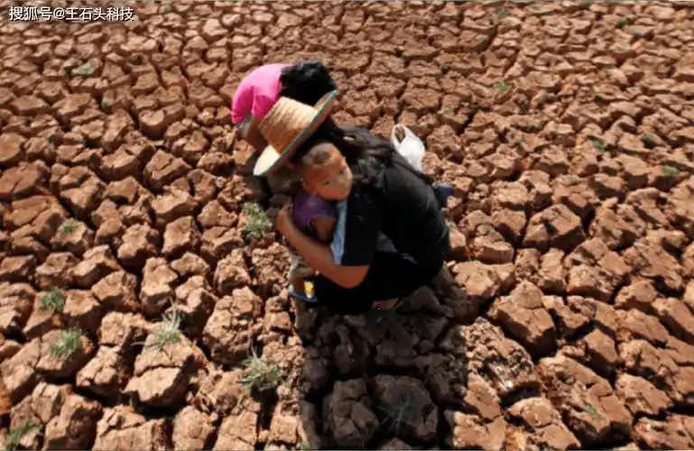 40℃酷暑难耐,人间"灾害"!为地球降温1℃,从你我做起!