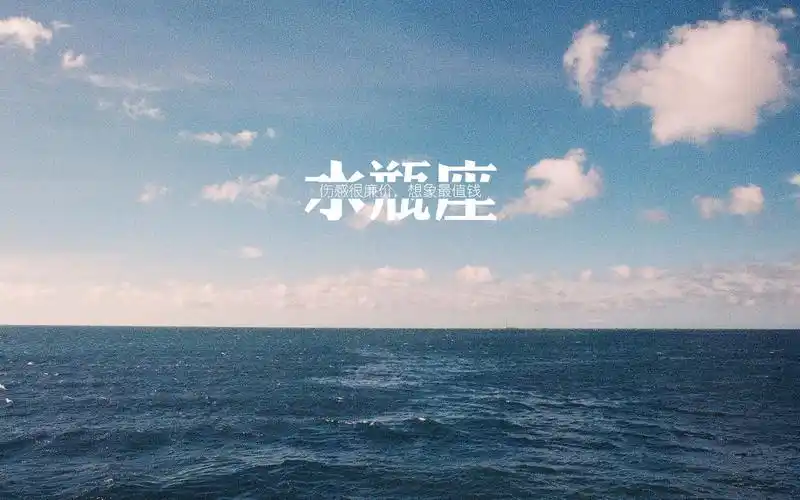 创意水瓶座文字清新高清壁纸