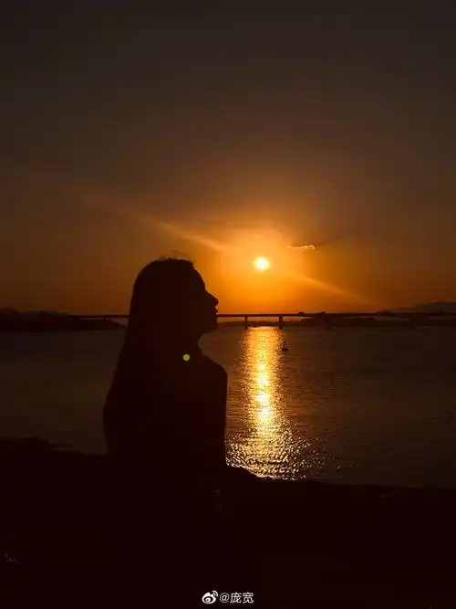 落日下的背影 被治愈的我们__财经头条