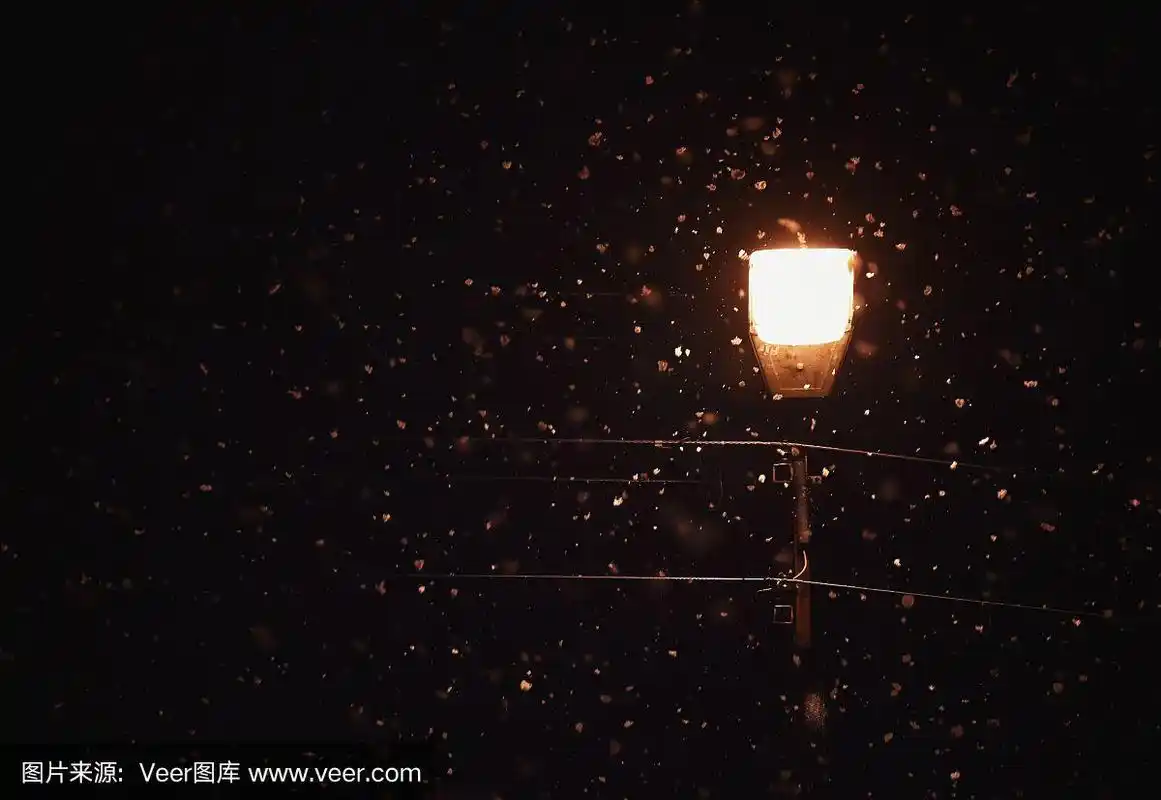 路灯,夜晚,无人,城市生活,雨