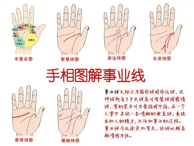 【了解】你手相有几个斗纹呢?手指上的斗和簸箕代表什么?