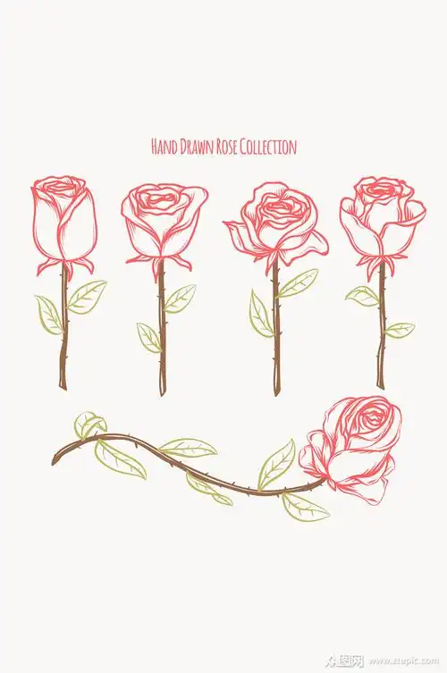 5款手绘玫瑰花矢量素材