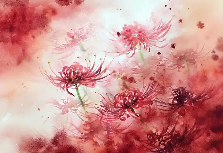 彼岸,花开,曼珠,沙华 - 堆糖,美图壁纸兴趣社区